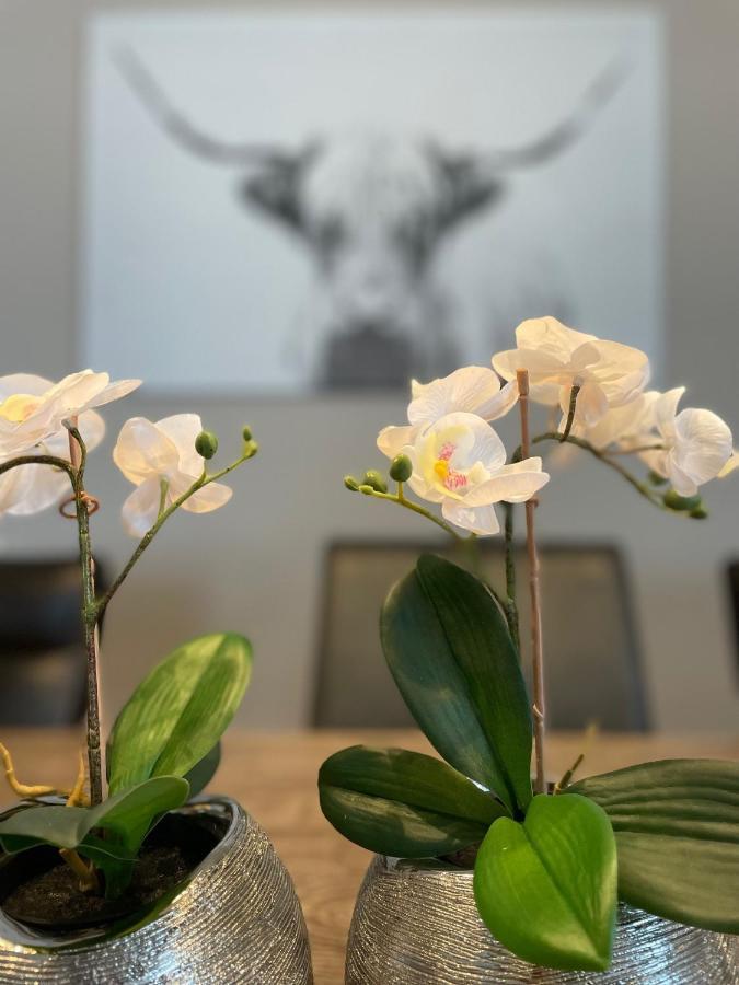 Winterberg Appartement Winterspot Ngoại thất bức ảnh